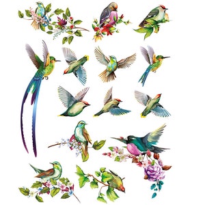 Ceramic Decal - Overglaze Birds