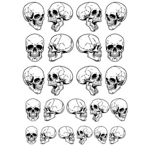 Decalcomania in ceramica, trasferimento sotto smalto - Teschio