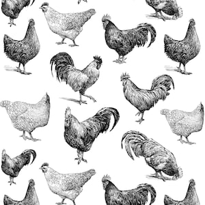 Decalcomania in ceramica, trasferimento sotto smalto - Pollo