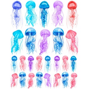 Ceramic Decal - Overglaze Jelly Fish