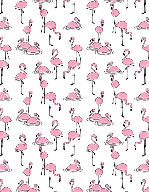 Curvy Flamingos Florida Decal Curvy Flamingos Florida Decal