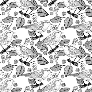 以下が含まれることがあります： ベリーと葉のついた枝に止まっている鳥の白黒のイラスト。鳥は羽根が細かく描かれており、写実的なスタイルで描かれています。