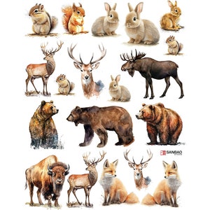 Ceramic Decal - Overglaze Decal Forest Animal