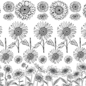 May include: Black and white line drawing of sunflowers with leaves and stems. The sunflowers are arranged in a repeating pattern, creating a border design.