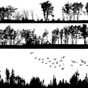 Décalcomanie en céramique, transfert sous glaçure - Silhouette de forêt