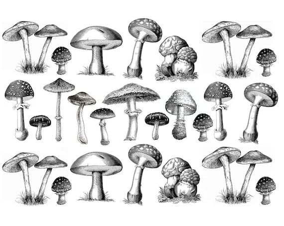 Ceramic Decal, Underglaze Transfer - Mushroom