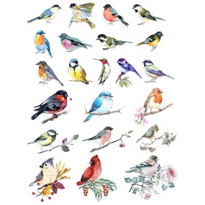 Ceramic Decal - Overglaze Watercolor Birds