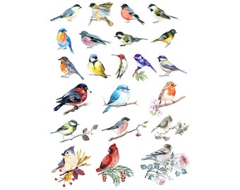 Decalque em cerâmica - Pássaros em aquarela sobrevidrado