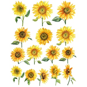 Decalcomania in ceramica - Fiore di sole smaltato
