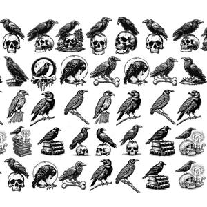 Puede incluir: Una colección de ilustraciones en blanco y negro que muestran cuervos en varias posturas. Las aves aparecen posadas sobre cráneos humanos, pilas de libros, huesos y ramas de árboles. Cada dibujo detallado muestra el plumaje oscuro de los cuervos.