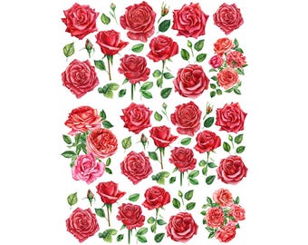 Ceramic Decal - Overglaze Rose