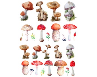 Ceramic Decal - Overglaze Mushroom