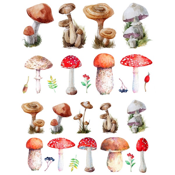 Ceramic Decal - Overglaze Mushroom