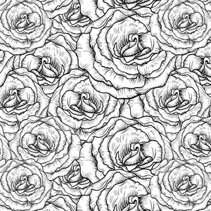 May include: Black and white line drawing of a seamless pattern of roses. The roses are drawn in a detailed, realistic style, with intricate petals and leaves.