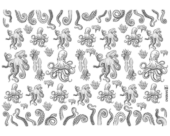 Ceramic Decal, Underglaze Transfer - Octopus