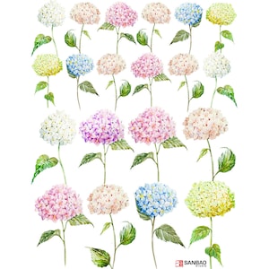 Puede incluir: Una ilustración de acuarela de un patrón repetitivo de flores de hortensias en varios colores, incluyendo rosa, morado, azul, blanco y amarillo. Las flores están dispuestas en una línea vertical, con cada tallo de flor extendiéndose desde la parte inferior de la imagen hasta la parte superior.