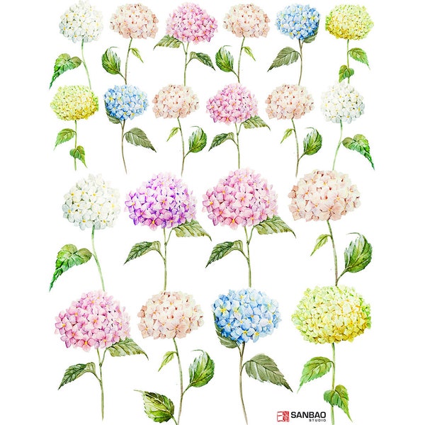 Ceramic Decal - Overglaze Hydrangea