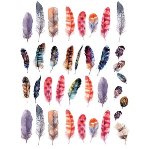 Ceramic Decal - Overglaze Feather