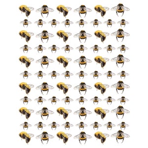 Ceramic Decal - Overglaze Bee