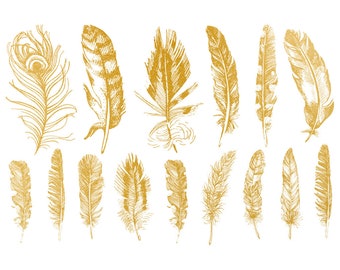 Ceramic Decal - Overglaze Feather 02 Gold