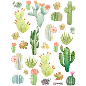 Ceramic Decal - Overglaze Cactus