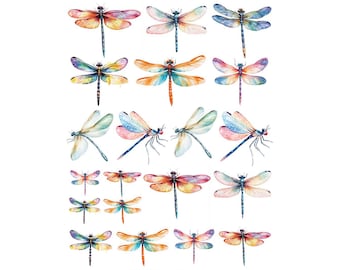 Ceramic Decal - Overglaze Dragonfly