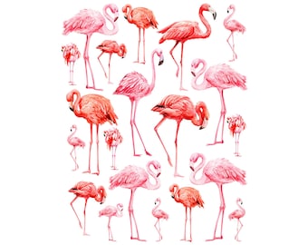 Ceramic Decal - Overglaze Flamingo