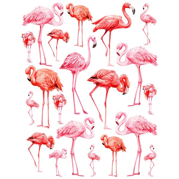 Ceramic Decal - Overglaze Flamingo