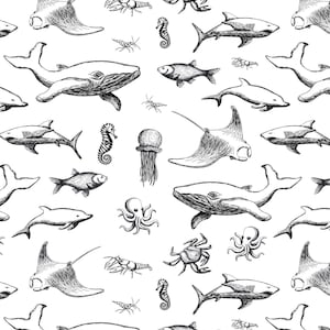 Ceramic Decal, Underglaze Transfer - Ocean Fish