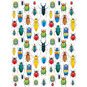 Ceramic Decal - Overglaze Rainbow Bugs