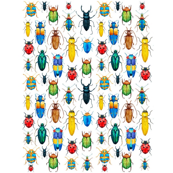 Ceramic Decal - Overglaze Rainbow Bugs