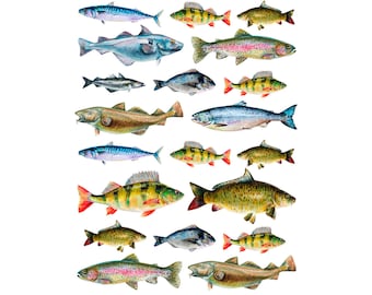 Decalque de cerâmica - Overglaze Lake Fish