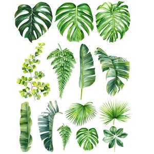 Ceramic Decal - Overglaze Palm Leaf