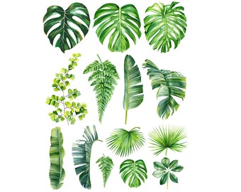 Ceramic Decal - Overglaze Palm Leaf
