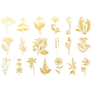 Könnte beinhalten: Eine Sammlung von 18 goldfarbenen botanischen Illustrationen verschiedener Blumen und Pflanzen, darunter Lavendel, Gänseblümchen und Löwenzahn.