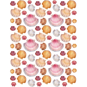 Ceramic Decal - Overglaze Sea shell
