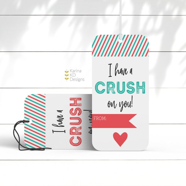 I have a CRUSH on you! - Valentine's Day Tags