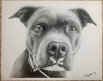 Retrato personalizado de animal de estimação | Retrato de cachorro personalizado | Comissão de animais de estimação | Animal de estimação personalizado com carvão | Arte de parede personalizada | Cão Gato Cavalo Vida Selvagem