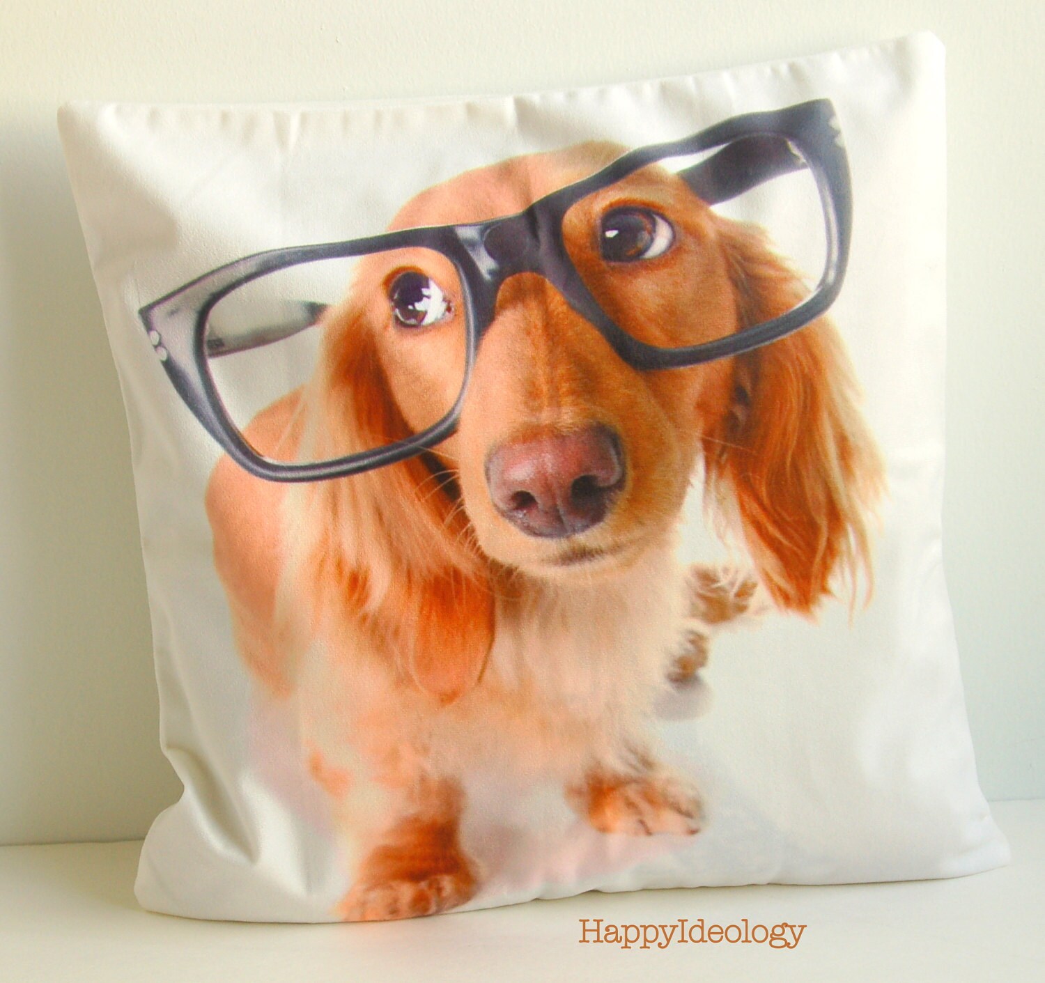 dog with glasses pillow