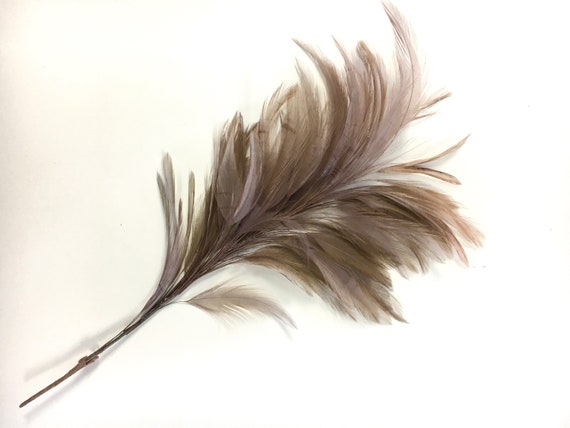 tall decorative feathers
