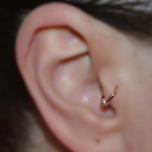 TRAGUS EARRING Gold // Nose Ring - Nose Ring Stud - Forward Helix Earring - Rook Hoop - Septum Ring - Tragus Stud - Cartilage Ring 20g