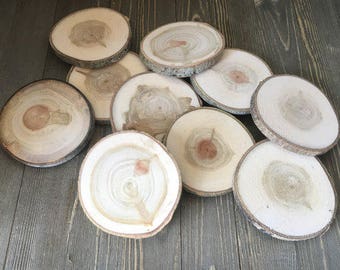 Set of 10 Wood Slices - Tree Branch Slices - Rustic Wedding Decor - Large Wood Blanks - Wood Discs - Wood Rounds - Log Pieces - Wood Crafts