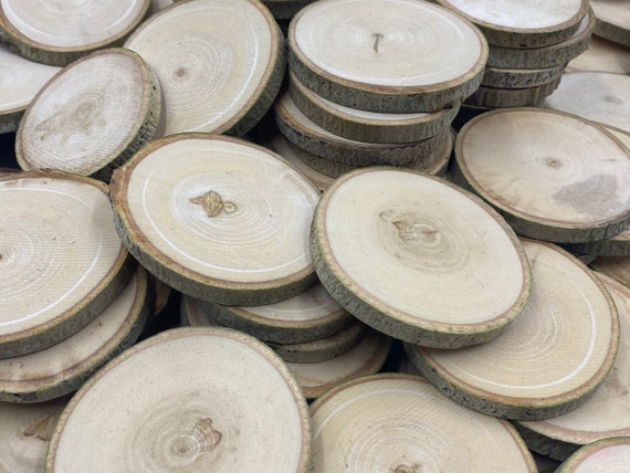 Small Wood Rounds for Crafts. 