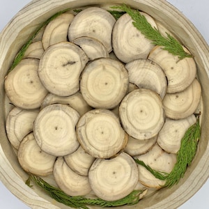 Bulk (3.5”-4”) Barkless Aspen Wood Slices - DIY Wood Rounds - Tree Slices - Wedding Coasters - Wood Rounds - Wedding Decor - Wedding Favors
