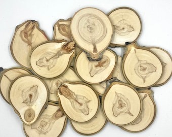 Aspen Wood Unique Shaped Wood Slices - Odd Shaped Wood - Wood Burning Fun Ideas - Different Shaped Tree Slices  - Wood Rounds - Craft Ideas