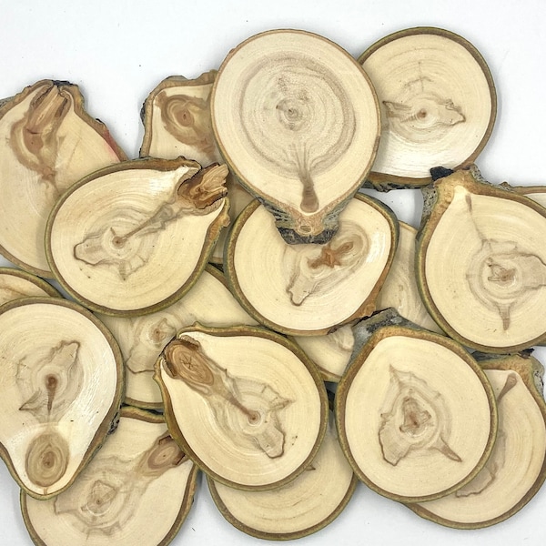 Aspen Wood Unique Shaped Wood Slices - Odd Shaped Wood - Wood Burning Fun Ideas - Different Shaped Tree Slices  - Wood Rounds - Craft Ideas