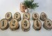 Wedding Decor Table Numbers - Table Number Wedding - Wood Slice Table Numbers - Single Wedding Table Number - Wood Slices - 