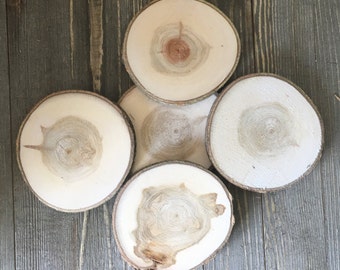 Set of 5 Wood Discs - Rustic Wood Slices - Aspen Wood Slices - Tree Branch Slices - DIY Wedding Decor - Large Wood Disc - Wood Crafts