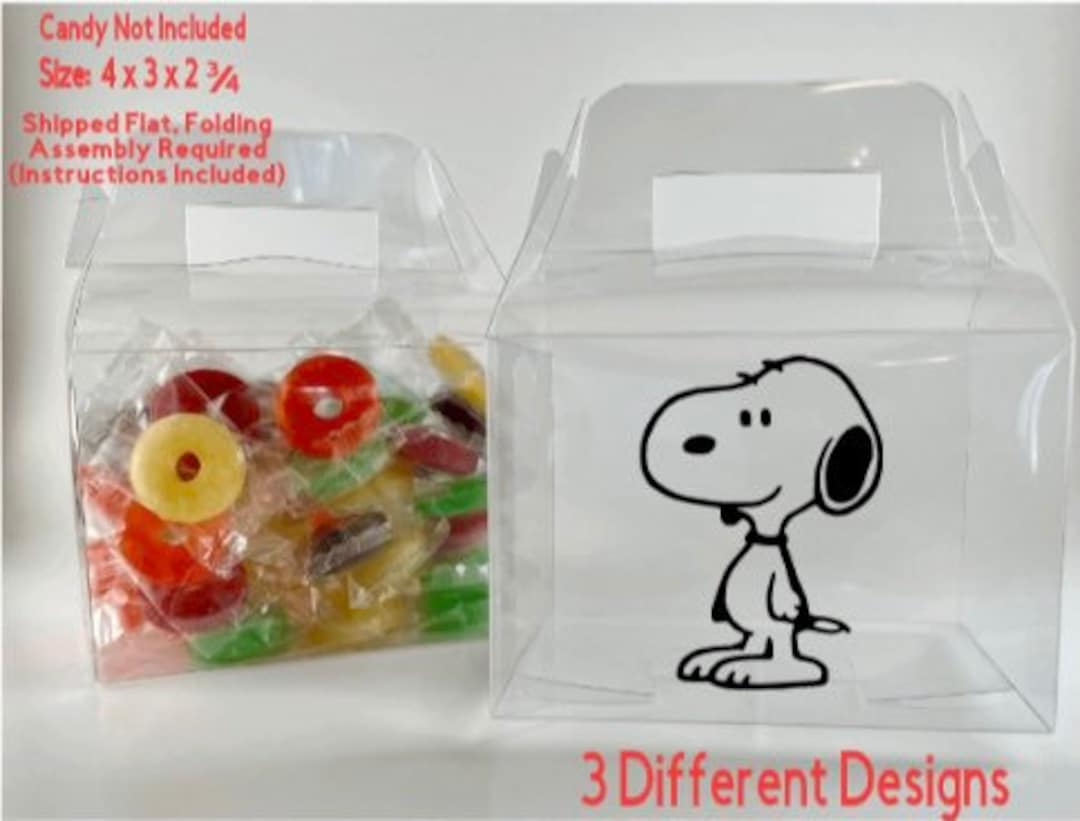 Snoopy PARTY BOXES Empty Birthday Favors Candy Treat You Fill 