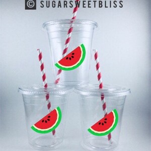 May include: Clear plastic cups with watermelon slice stickers and red and white striped straws. The cups are stacked in a pyramid shape. The text "SUGARSWEEETBLISS" is at the top.